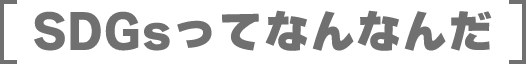 SDGsってなんなんだ