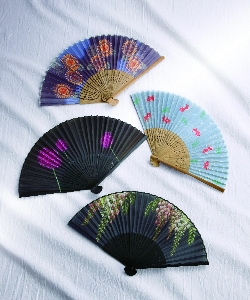 扇子イメージ02