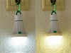 バルブ型ライトの昼白色灯と電球色灯