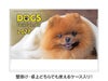 デスクドッグ 卓上カレンダー表紙