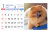 デスクドッグ 卓上カレンダー1月