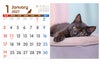キャットデスク 卓上カレンダー1月