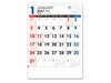 3色スケジュールカレンダー 壁掛けカレンダー1月