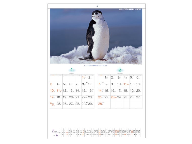 リラクゼーション ブルー 壁掛けカレンダーの1月2月