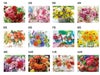 フローラルヒーリング(花療法) 壁掛けカレンダー月別
