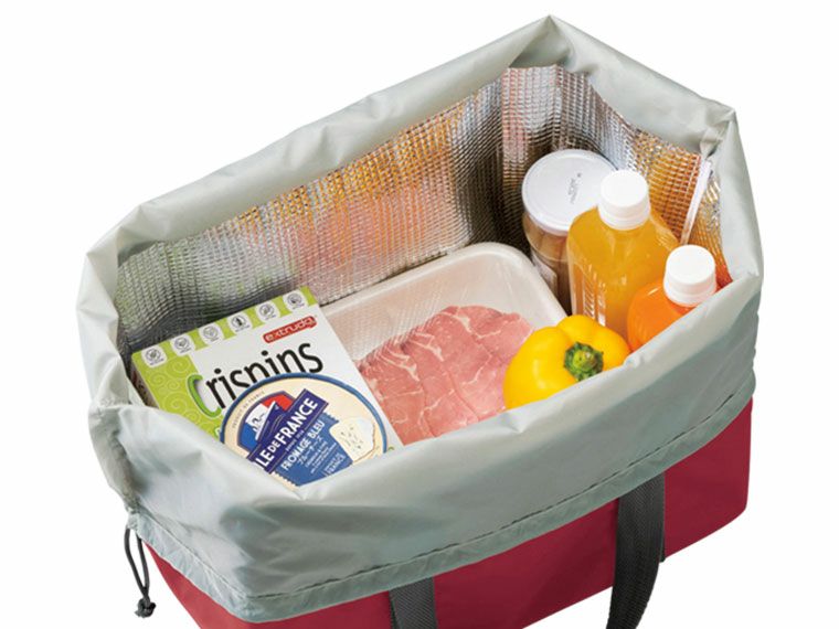 プレント レジカゴ保冷温ショッピングバッグに入る商品イメージ画像