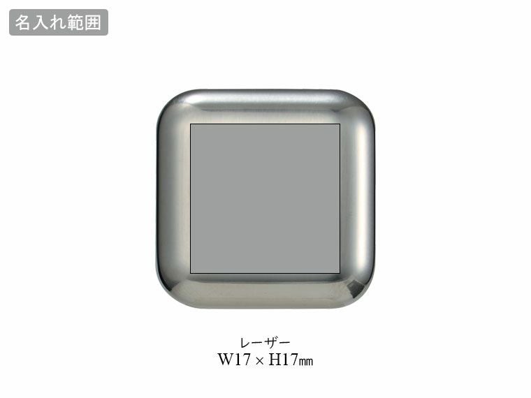 溶けない氷 ステンレスアイスキューブ2個組#CO2排出権付の名入れ範囲