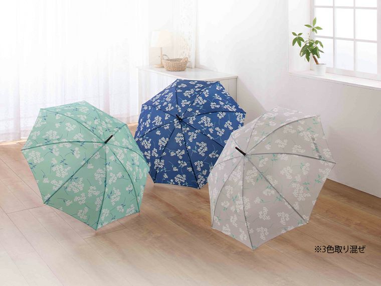 フロス　ジャンプ傘